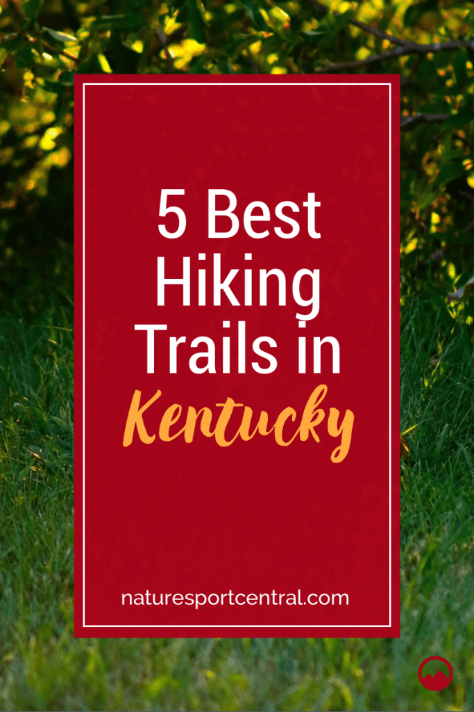 The 5 Best Hiking Trails in Kentucky