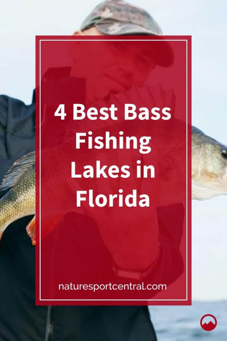 4 Best Bass Fishing Lakes in Florida