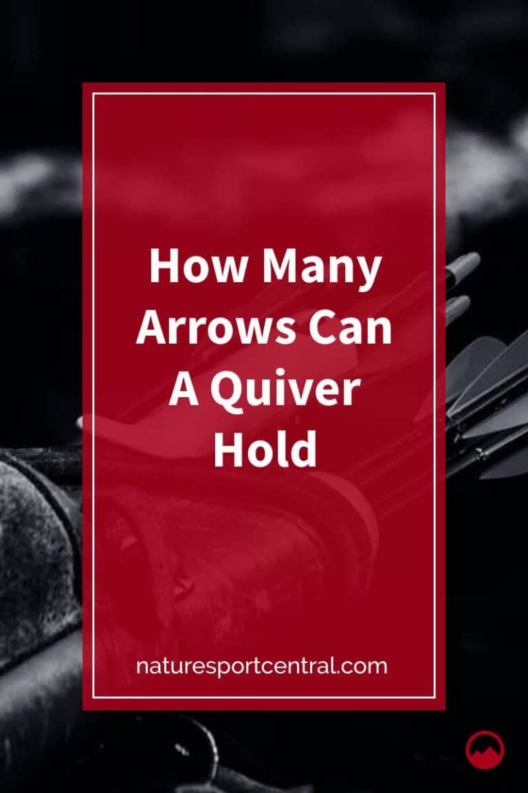 How Many Arrows Can A Quiver Hold