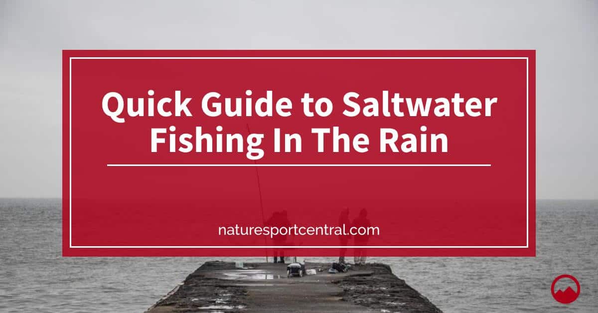 Quick Guide to Saltwater Fishing In The Rain