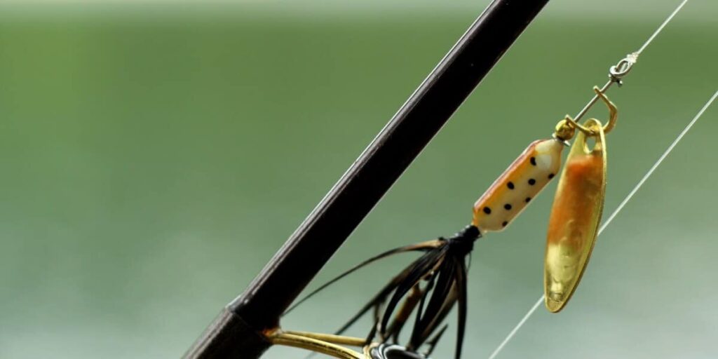 What Is the Best Bait for Crappie