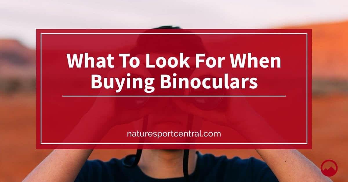 What To Look For When Buying Binoculars