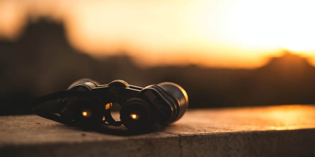 What To Look For When Buying Binoculars