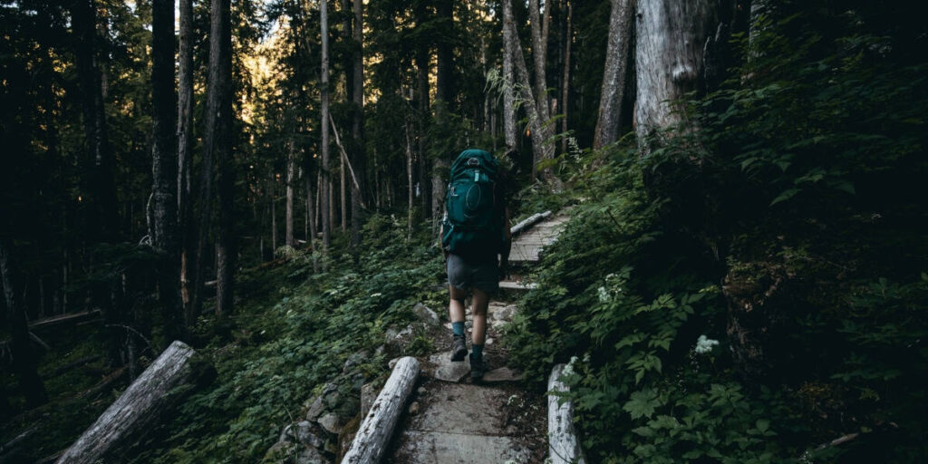 5 Best Hiking Trails in Georgia