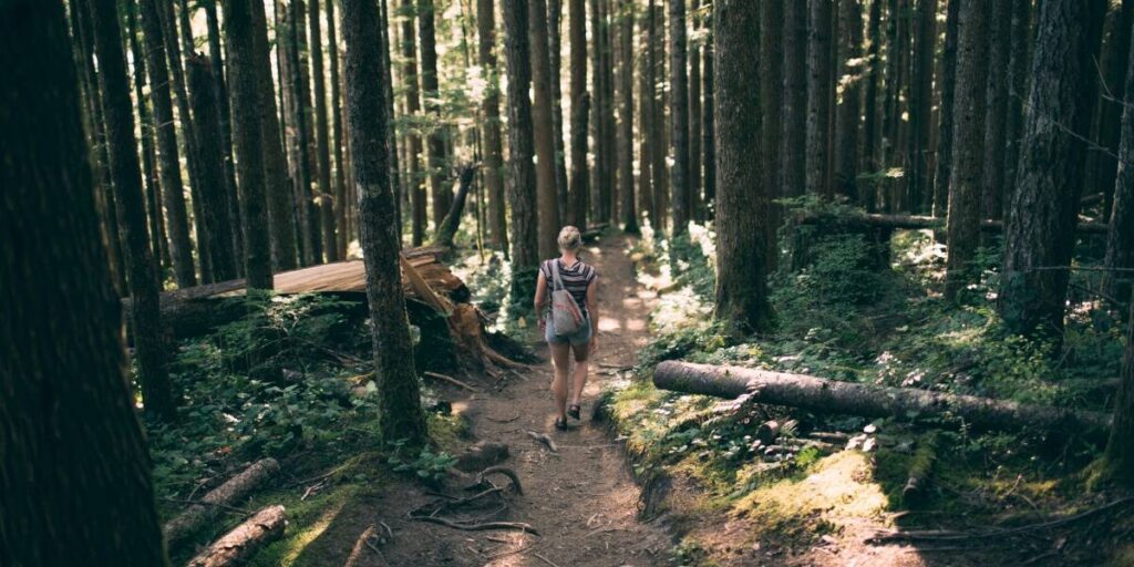 5 Best San Diego Hiking Trails