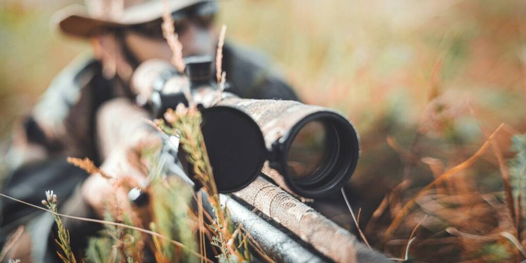 Best Long Range Scope For The Money