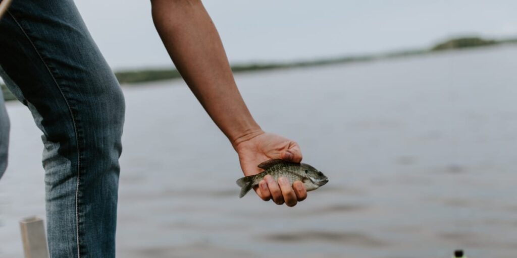 Good Inexpensive Fish Finders For Kayaks