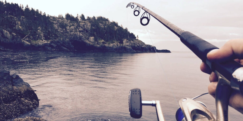 Best Fishing Hooks for Catfish