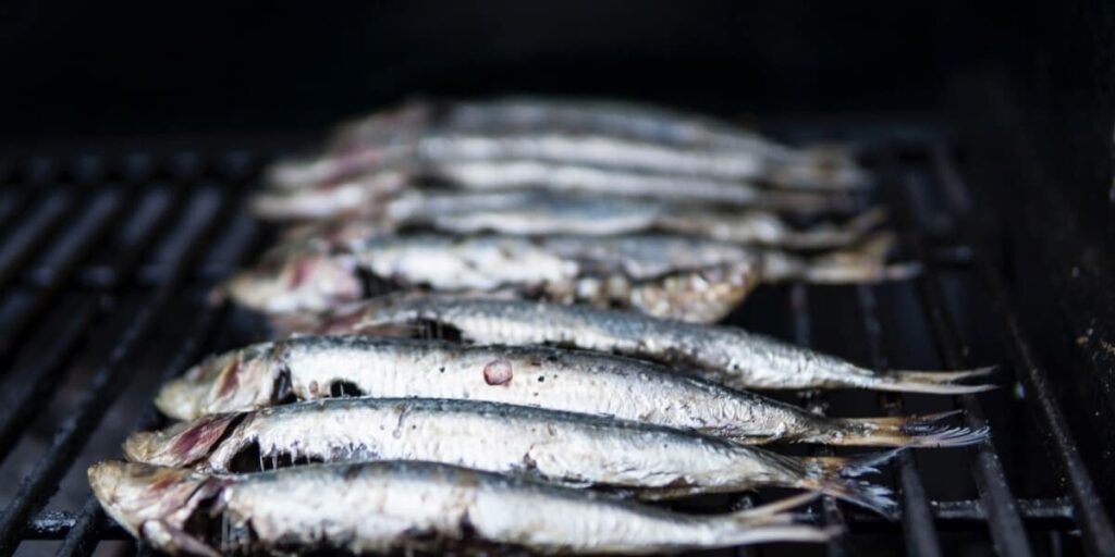 Best Freshwater Fish To Eat