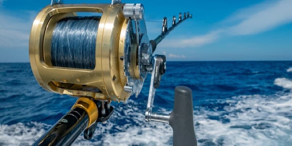 Best Saltwater Spinning Reel Under 100