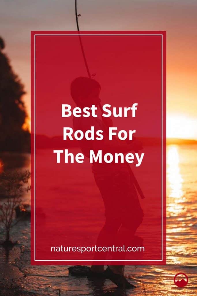 Best Surf Rods For The Money