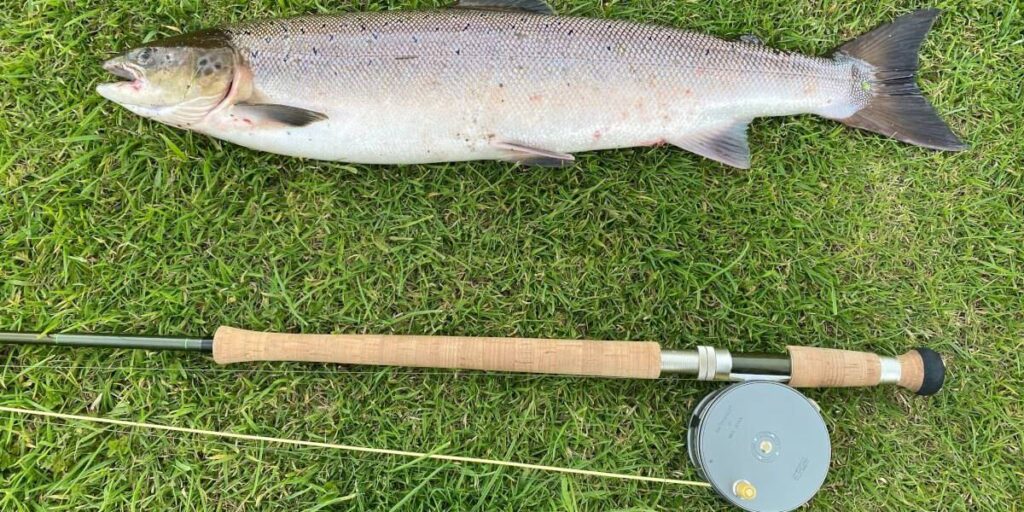 Hummingbird Fish Finders Review