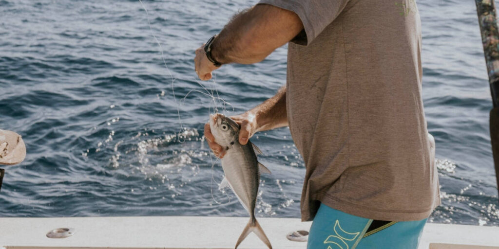 What is the Difference Between Trout and Salmon