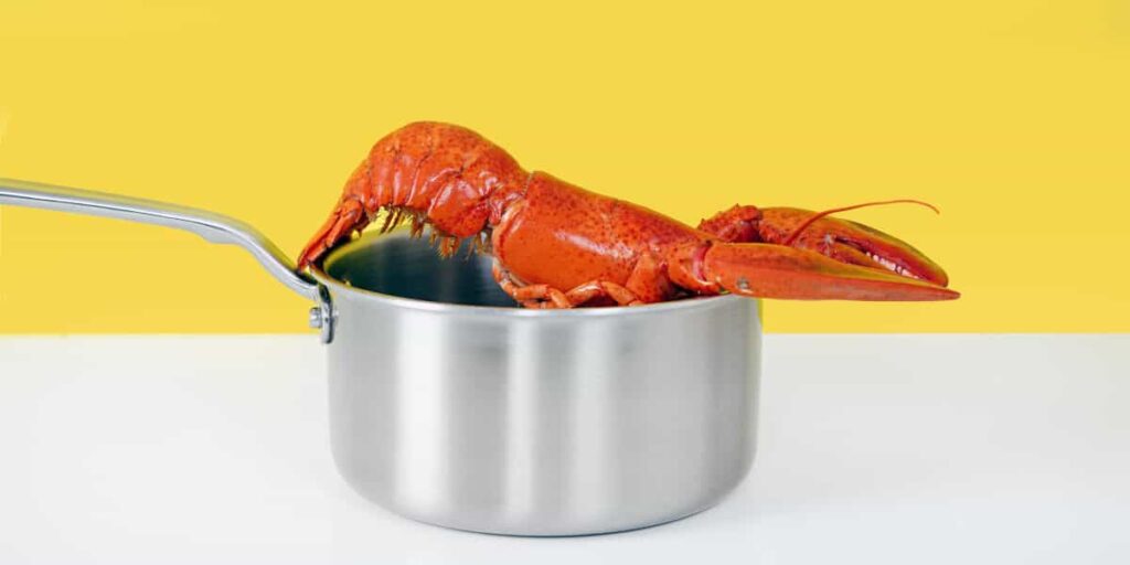How Long Do You Boil a Lobster Tail
