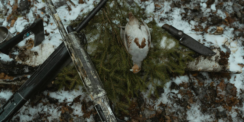 Beginner's Guide to Hunting Small Game