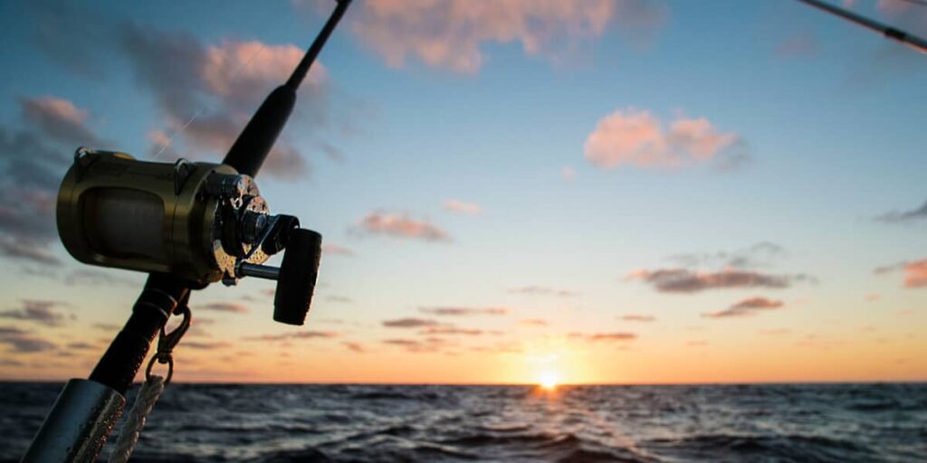 Best Round Baitcasting Reels