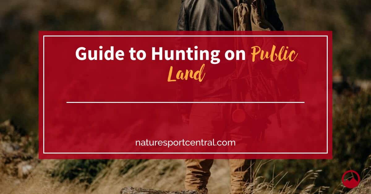 Guide to Hunting on Public Land