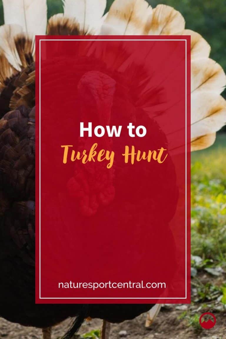 How to Turkey Hunt