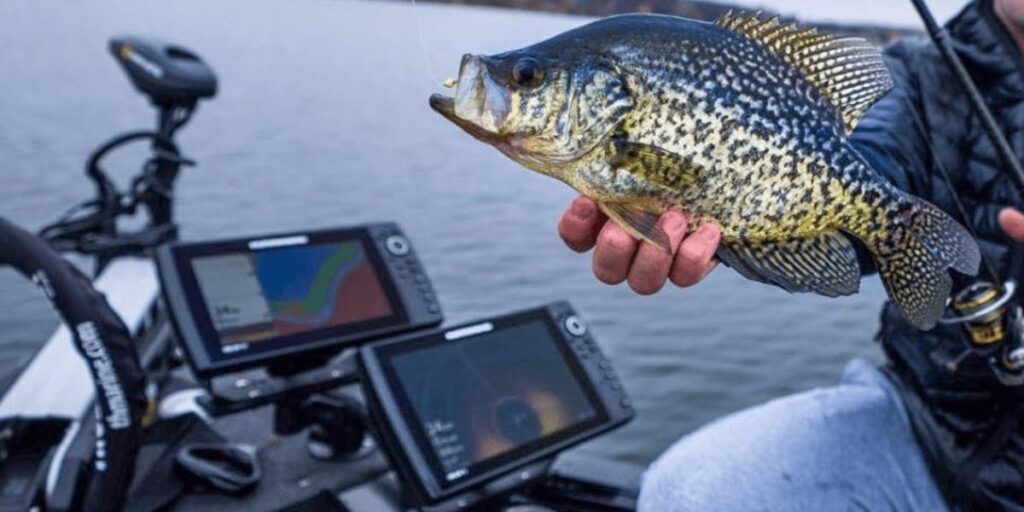 Best Crappie Fish Finder