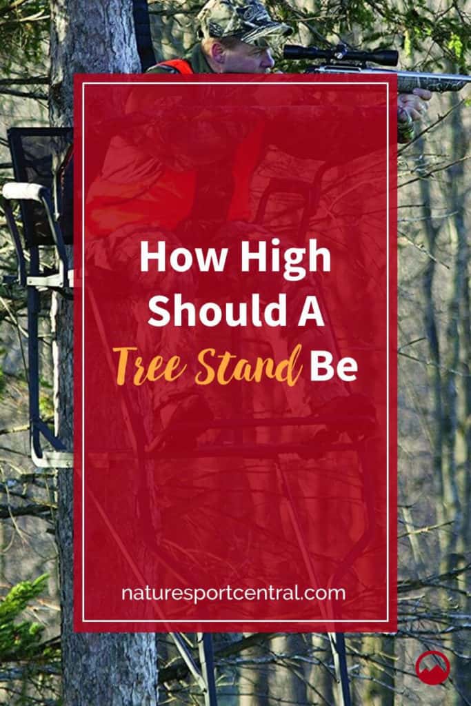 How High Should A Tree Stand Be