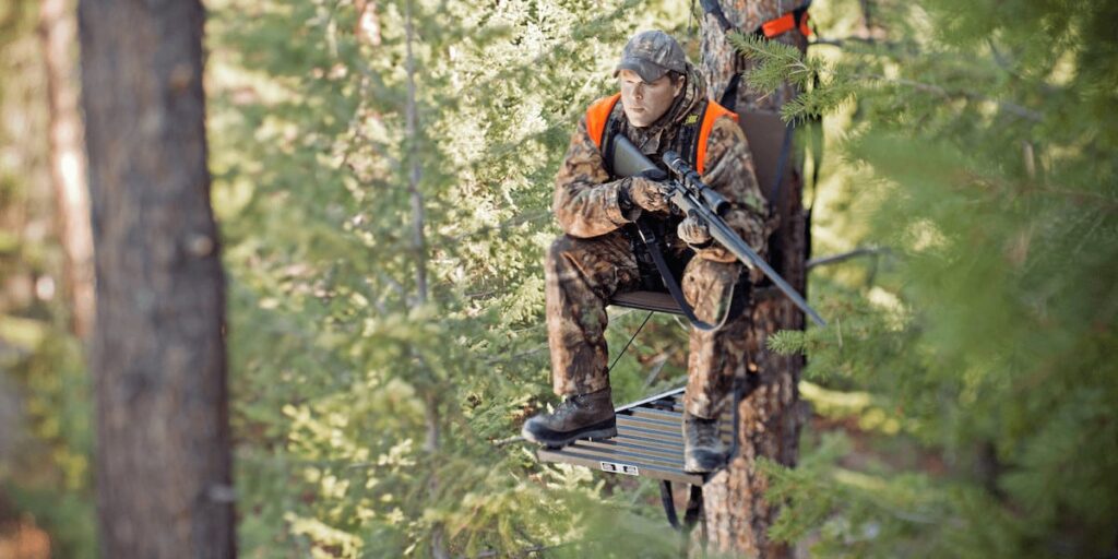 How High Should A Tree Stand Be