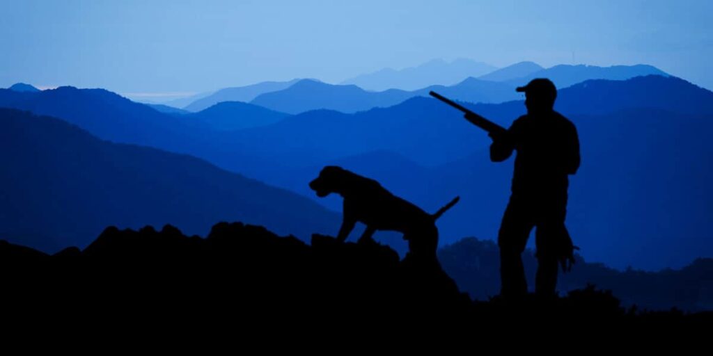 What Are The Four Main Causes Of Hunting Incidents