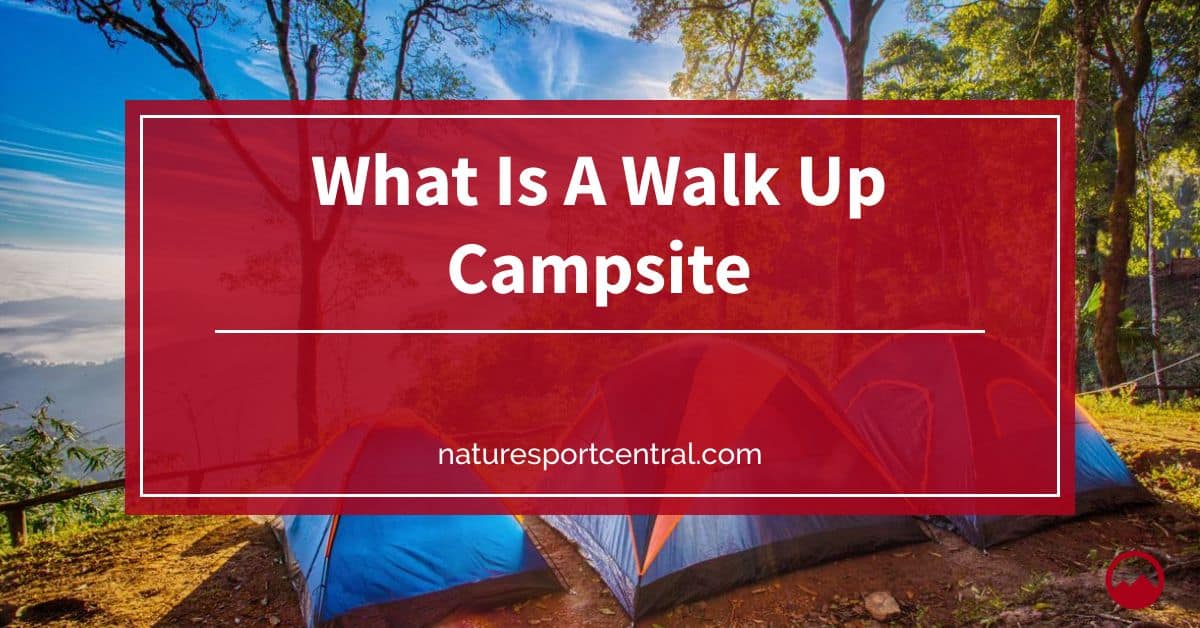 What Is A Walk Up Campsite what-is-a-walk-up-campsite