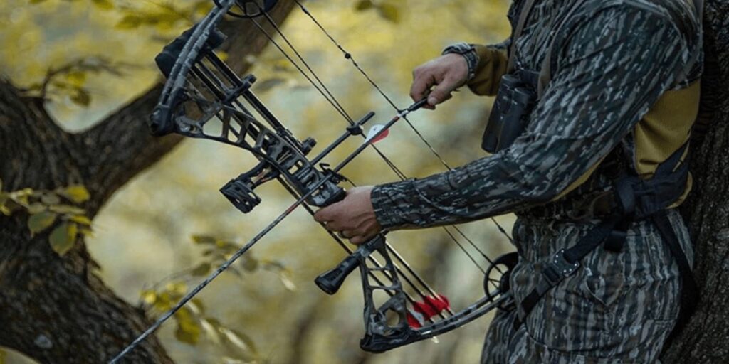 Can A Felon Own A Compound Bow