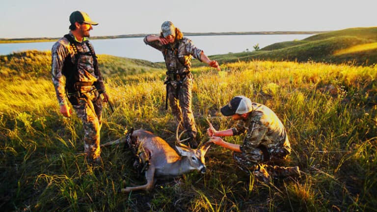 What Group Sets Hunting Regulations In Most States