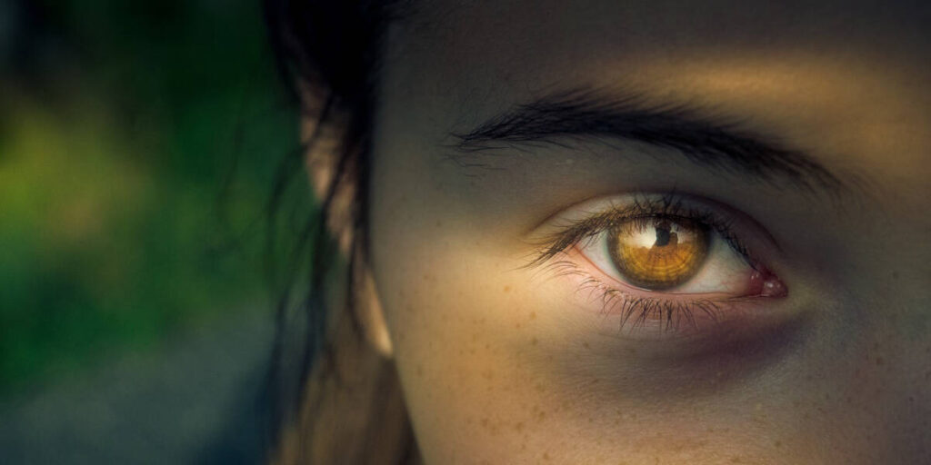 In Hunting It Is Important To Know Which Eye Is Dominant