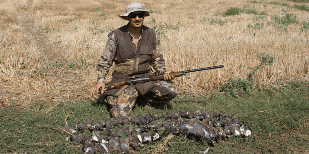 What To Wear Dove Hunting