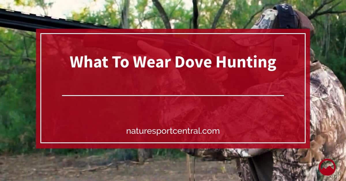 What To Wear Dove Hunting