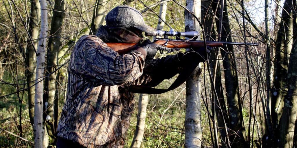 Why Were Hunting Laws And Regulations Initially Enacted