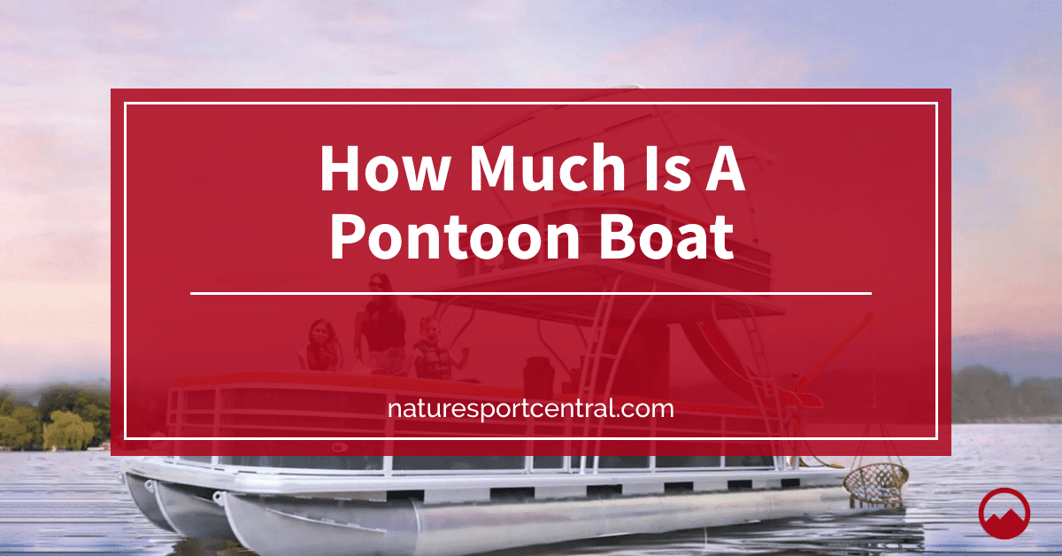 How Much Is A Pontoon Boat
