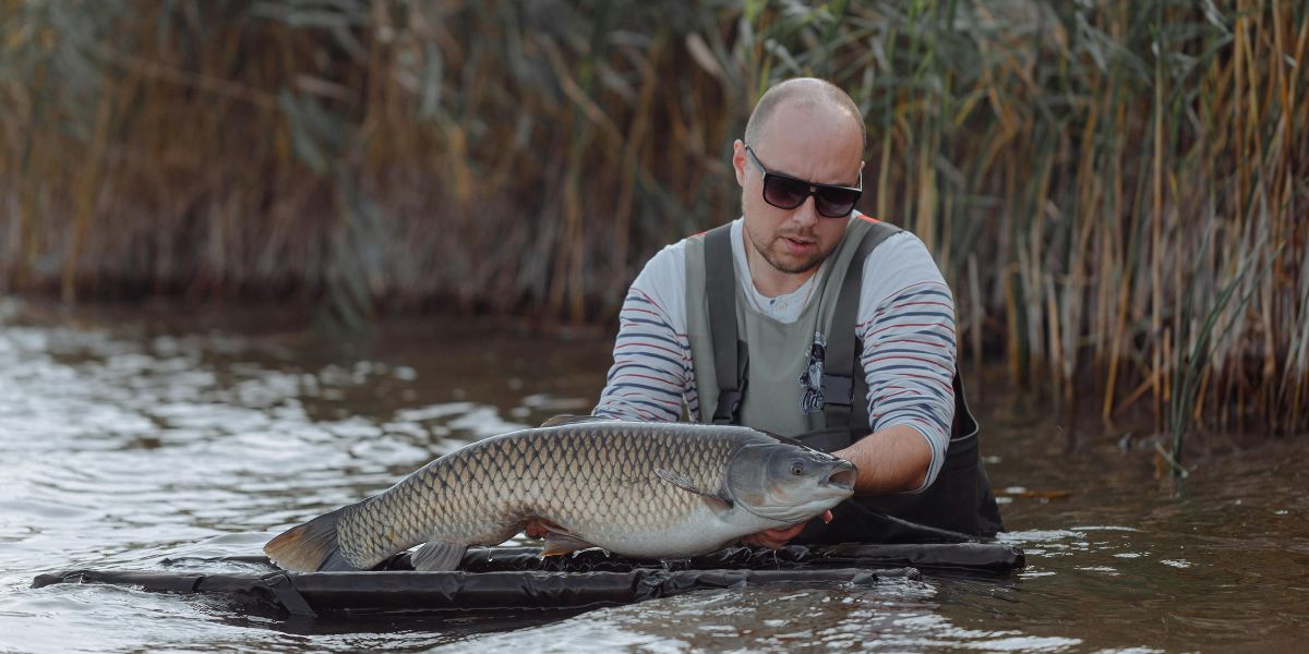 Man holding large fish in river